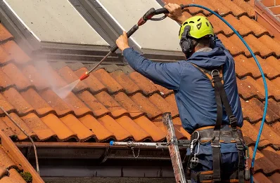 Démoussage et hydrofuge de toiture à Alembon